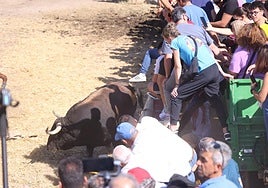 Así te hemos contado en directo el Toro de la Vega