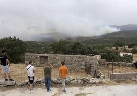 Se publica el formulario para acceder a la ayuda para reposición de vallados ganaderos dañados por los incendios