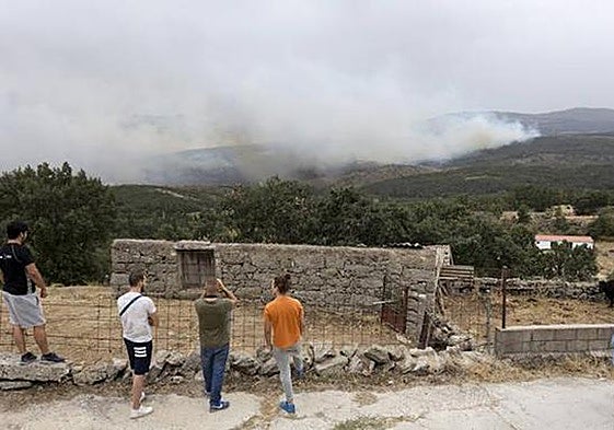 Se publica el formulario para acceder a la ayuda para reposición de vallados ganaderos dañados por los incendios