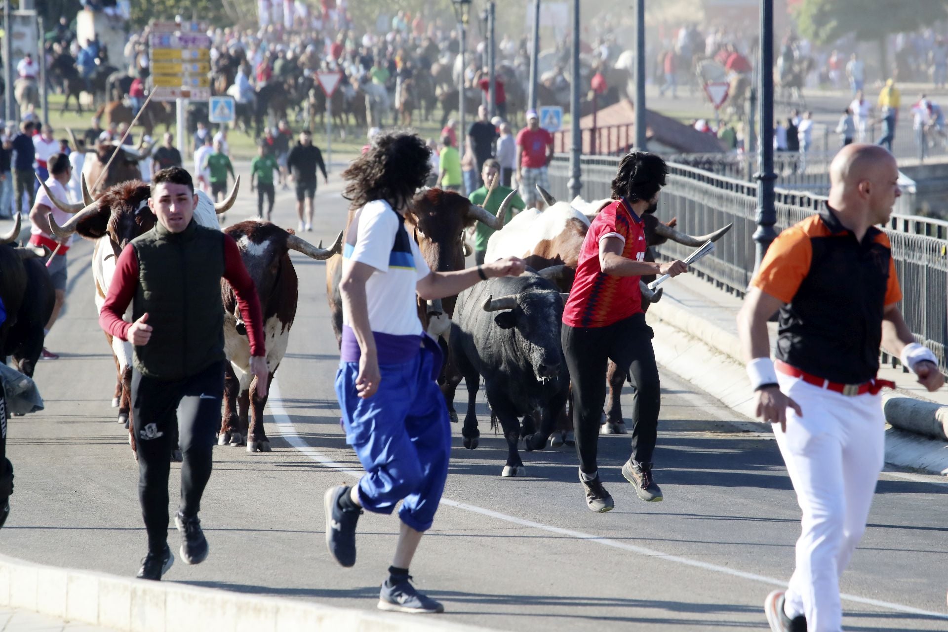 El encierro mixto de Tordesillas, en imágenes