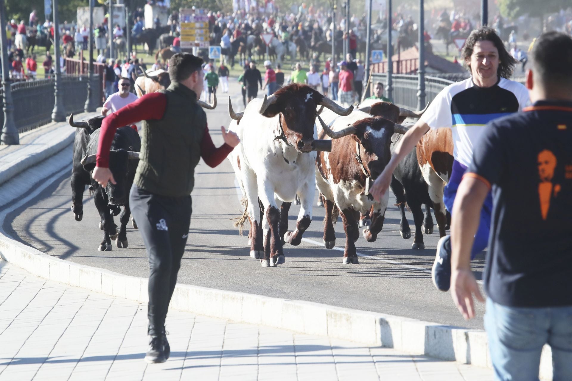El encierro mixto de Tordesillas, en imágenes