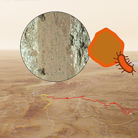 Hallazgo en Marte: «Son los mejores candidatos a evidencias de forma de vida que hemos visto nunca»