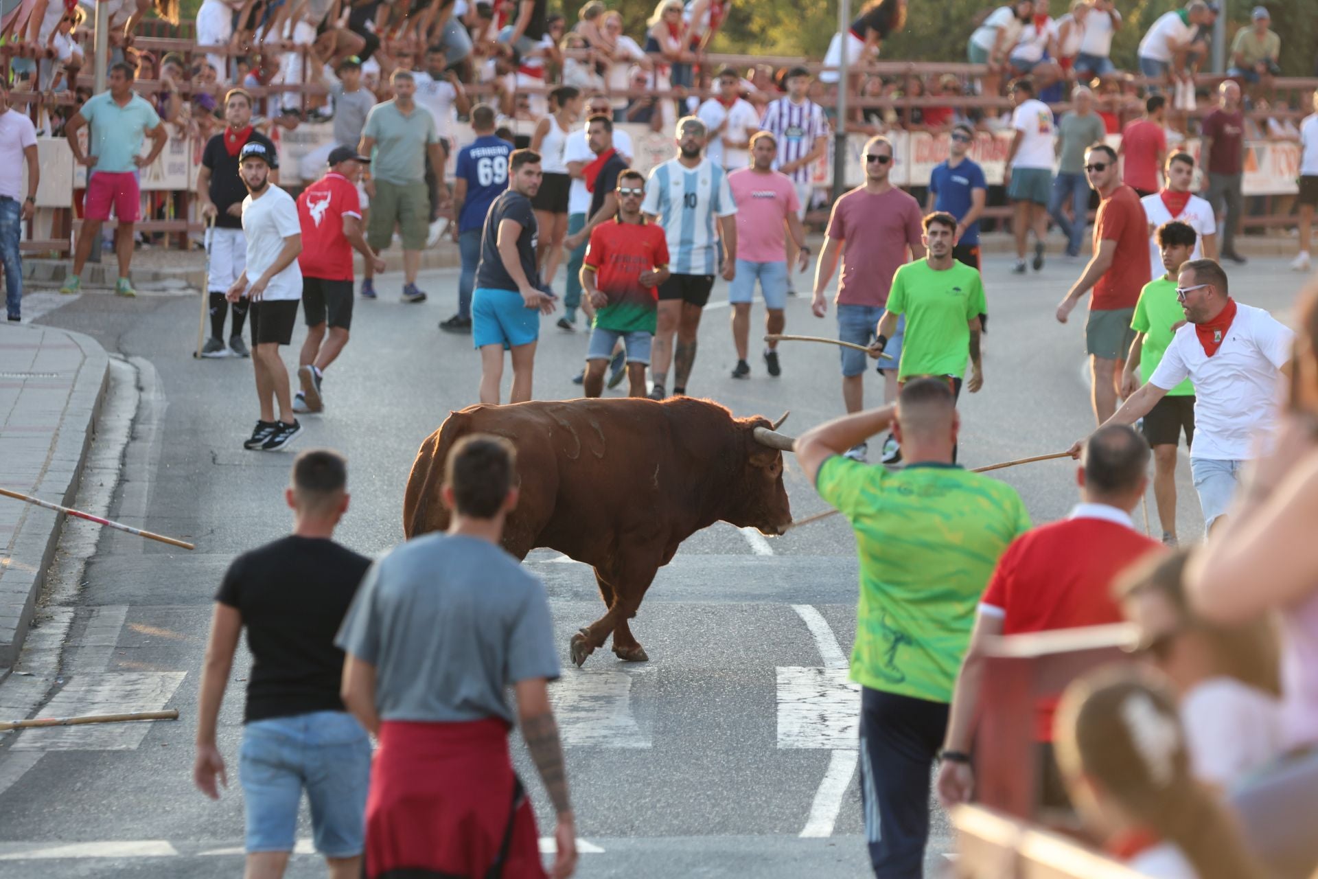Las imágenes de los toros de cajón en Tordesillas