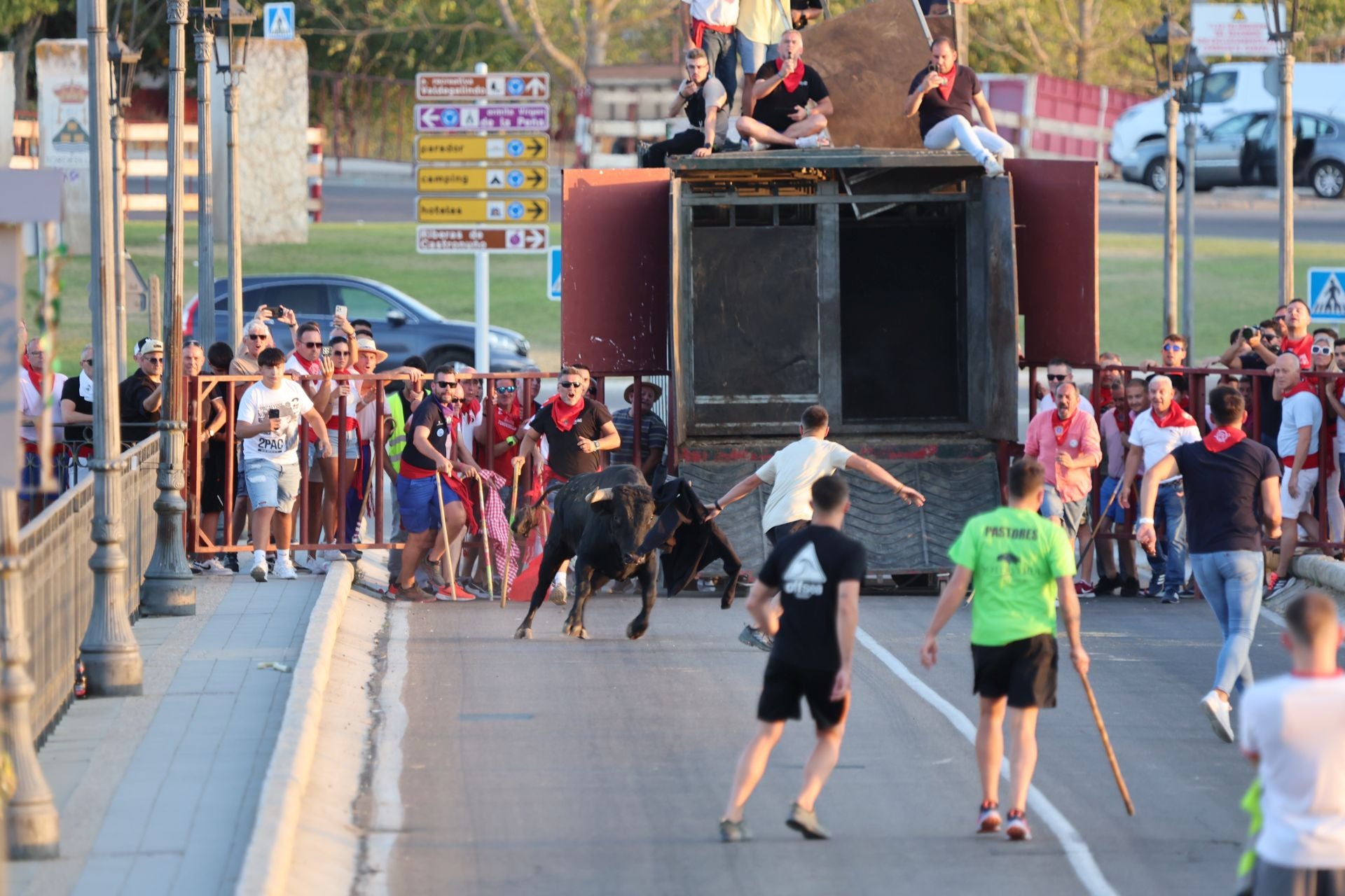 Las imágenes de los toros de cajón en Tordesillas