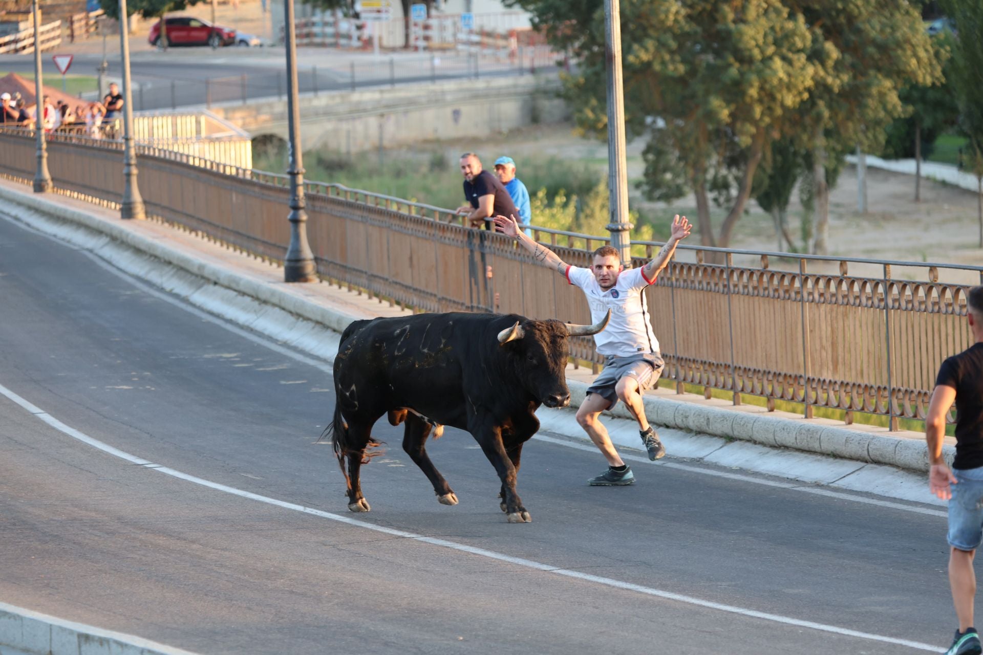 Las imágenes de los toros de cajón en Tordesillas