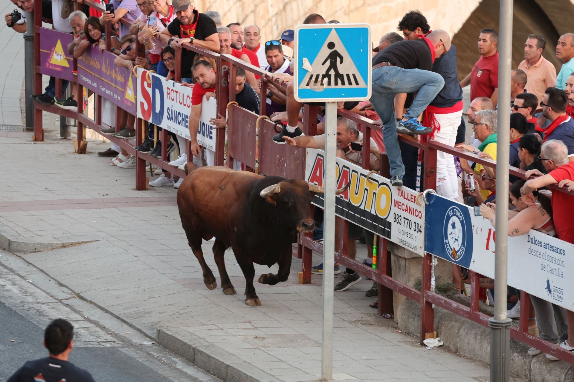 Las imágenes de los toros de cajón en Tordesillas
