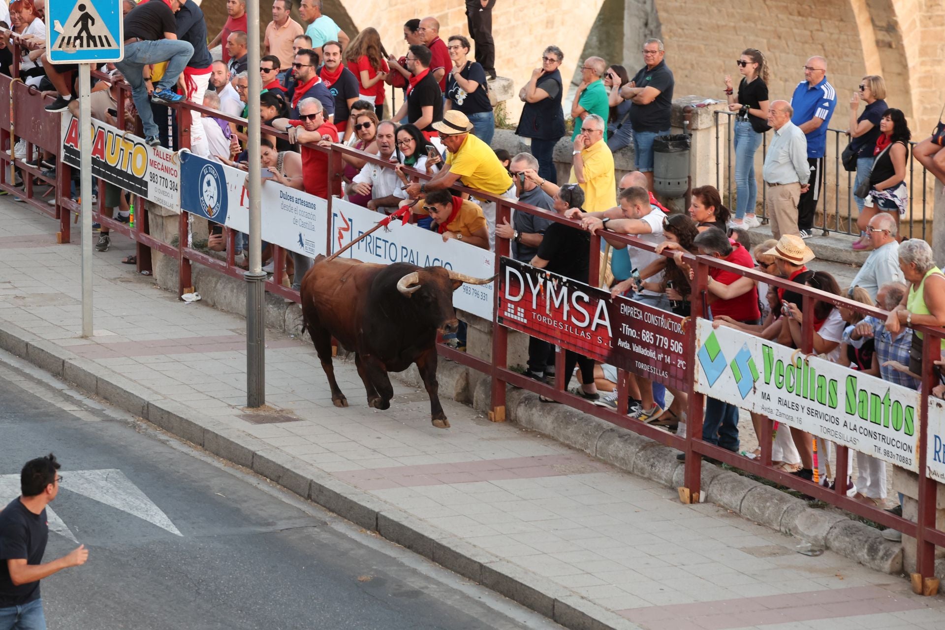 Las imágenes de los toros de cajón en Tordesillas