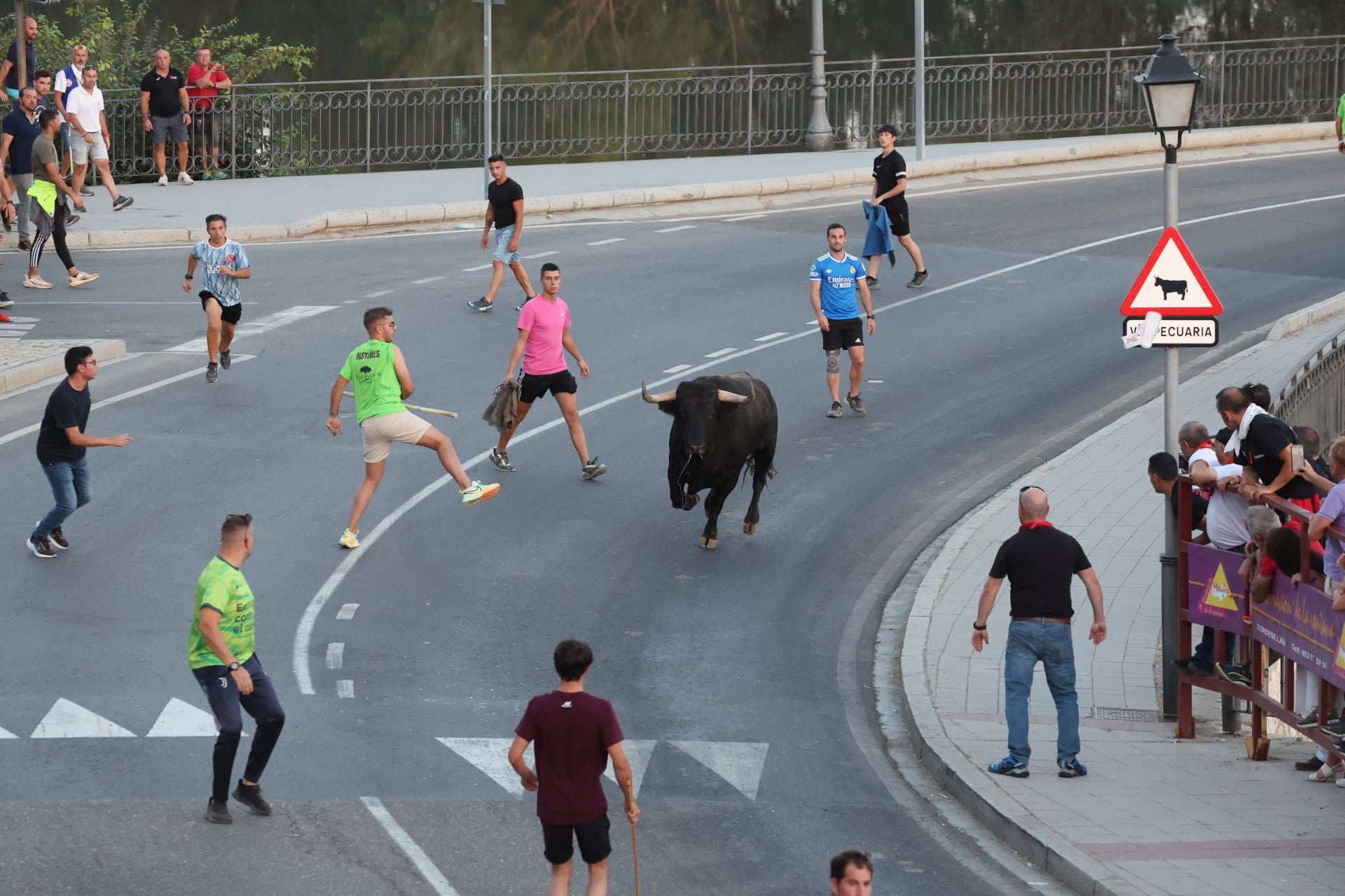 Las imágenes de los toros de cajón en Tordesillas
