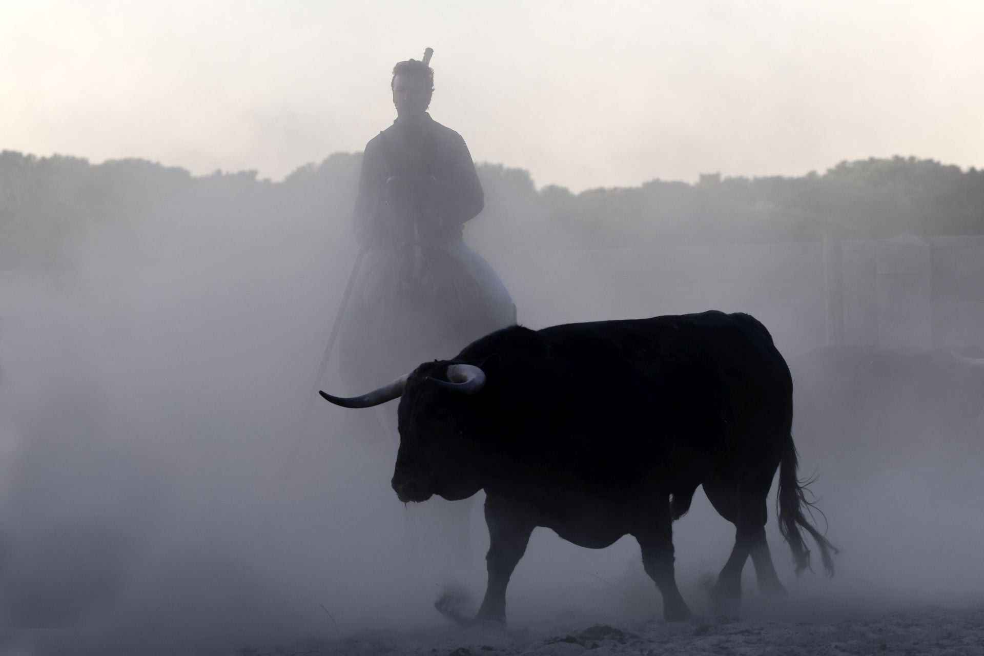 Encierro mixto del jueves en Tordesillas