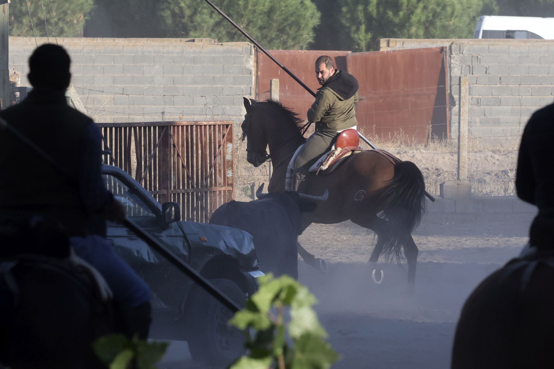 Encierro mixto del jueves en Tordesillas