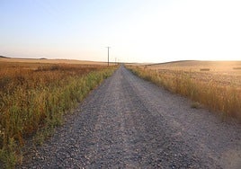 Camino que atraviesa las tierras en las que sucedió el trágico accidente laboral.