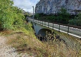 Ladera de la línea convencional Palencia-Santander, en el término de Pomar de Valdivia, en la que se actuará.