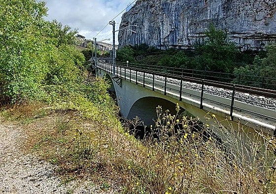 Ladera de la línea convencional Palencia-Santander, en el término de Pomar de Valdivia, en la que se actuará.