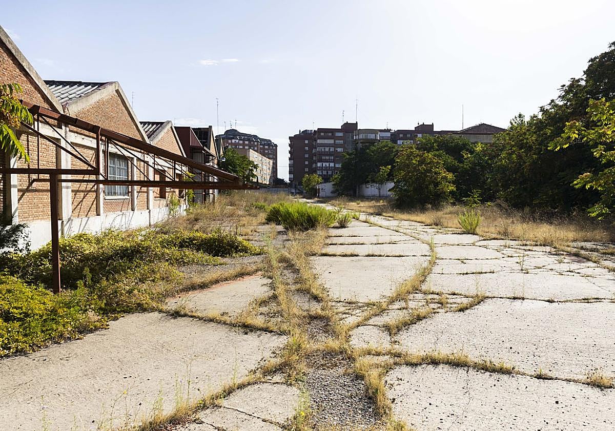 Imagen principal - El Gobierno promoverá 200 pisos en el cuartel de La Rubia y el Ayuntamiento recuerda que cabrían 720