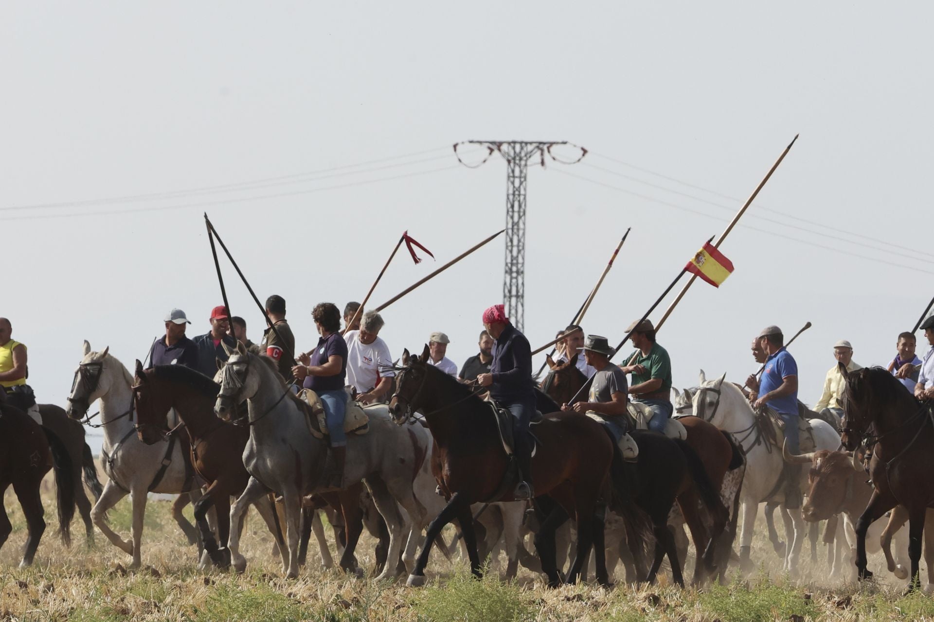 Las imágenes del encierro en Madrigal de las Altas Torres
