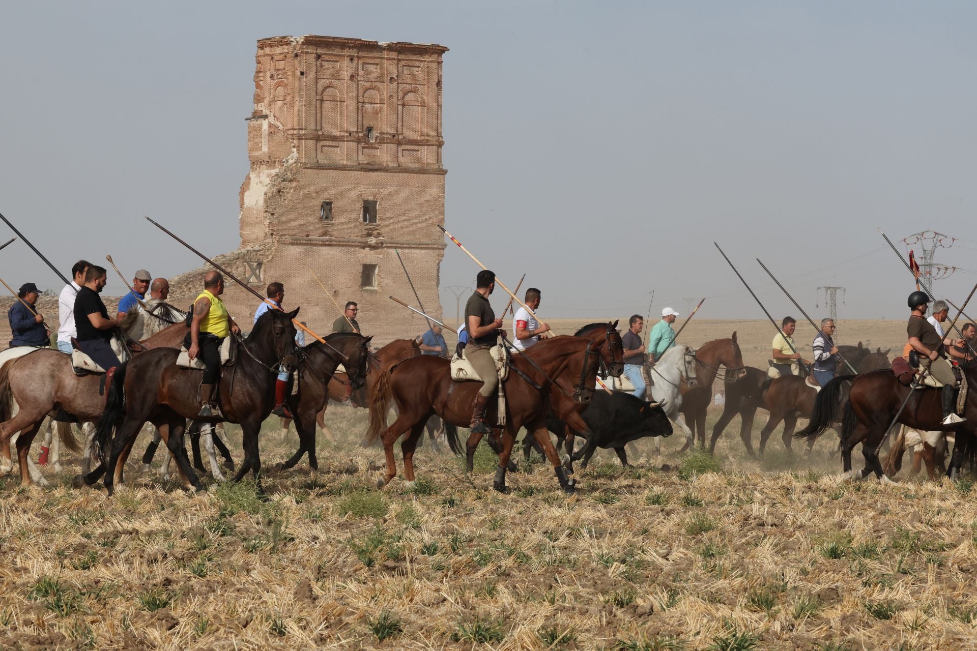 Las imágenes del encierro en Madrigal de las Altas Torres