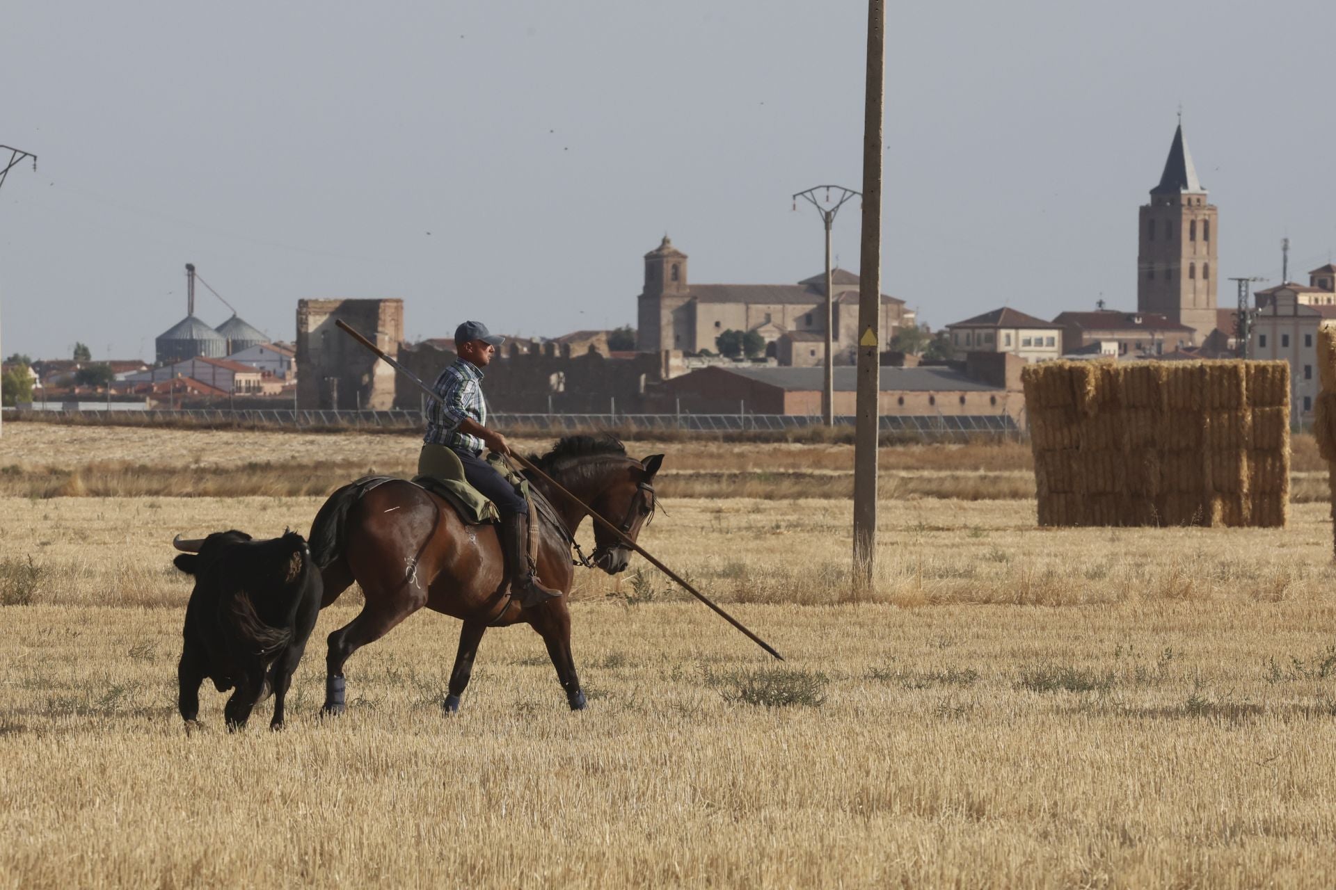 Las imágenes del encierro en Madrigal de las Altas Torres