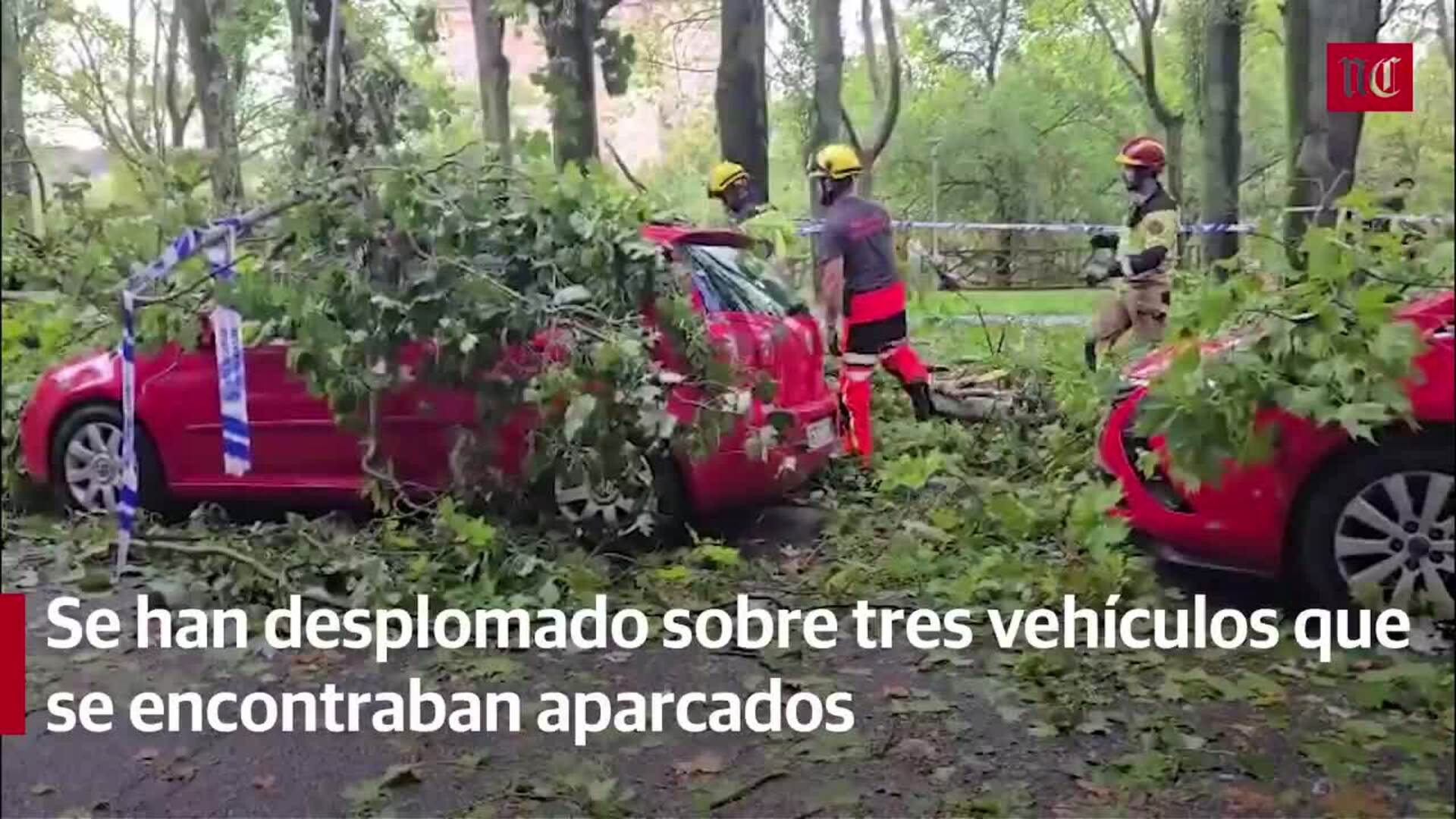 La caída de dos árboles en el paseo del Cid ha destrozado tres vehículos que estaban aparcados