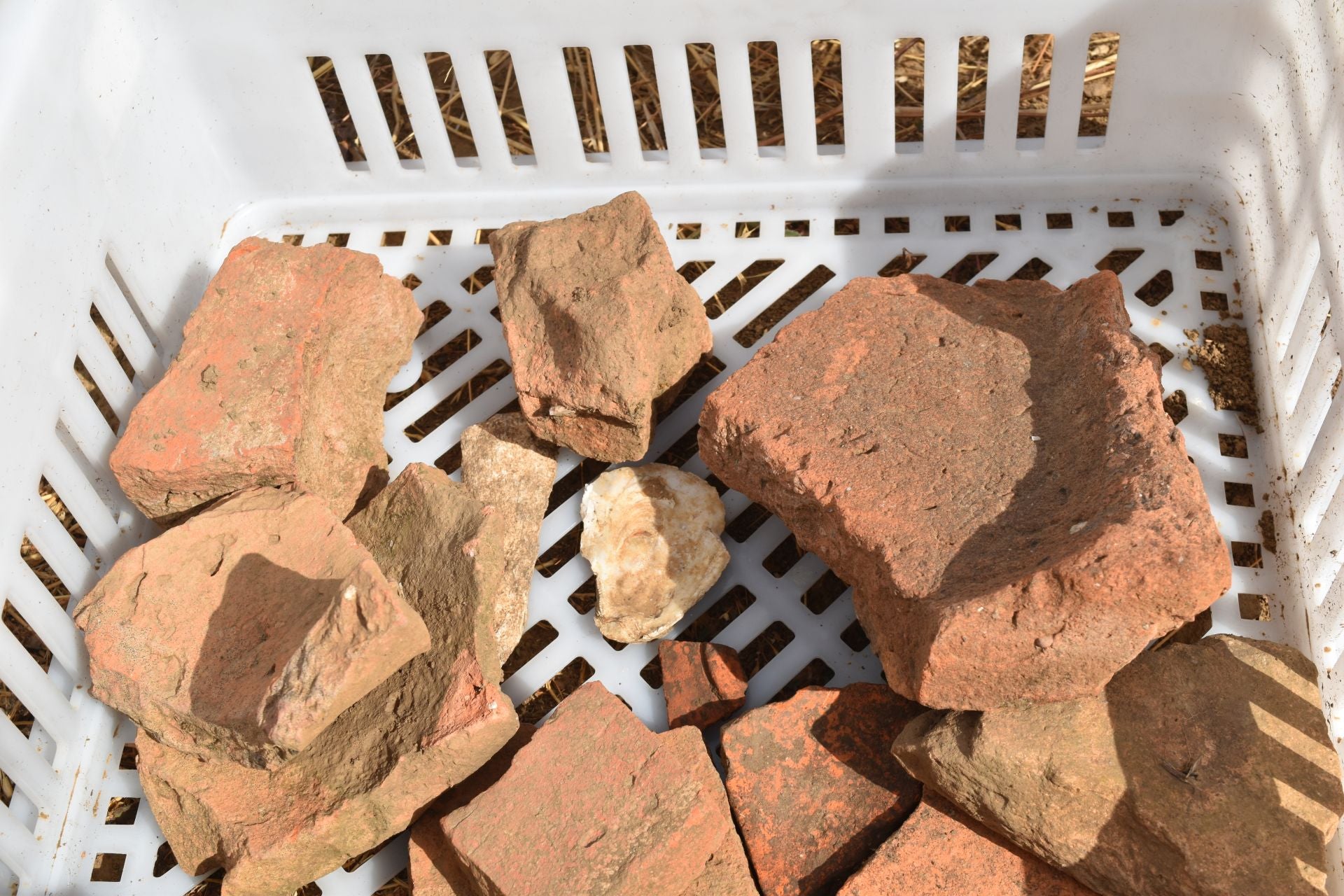 Una visita al lugar de descanso de los soldados romanos en Aguilar