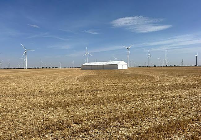 Carpa instalada en la Finca Soteso, donde se celebrará la jornada este jueves