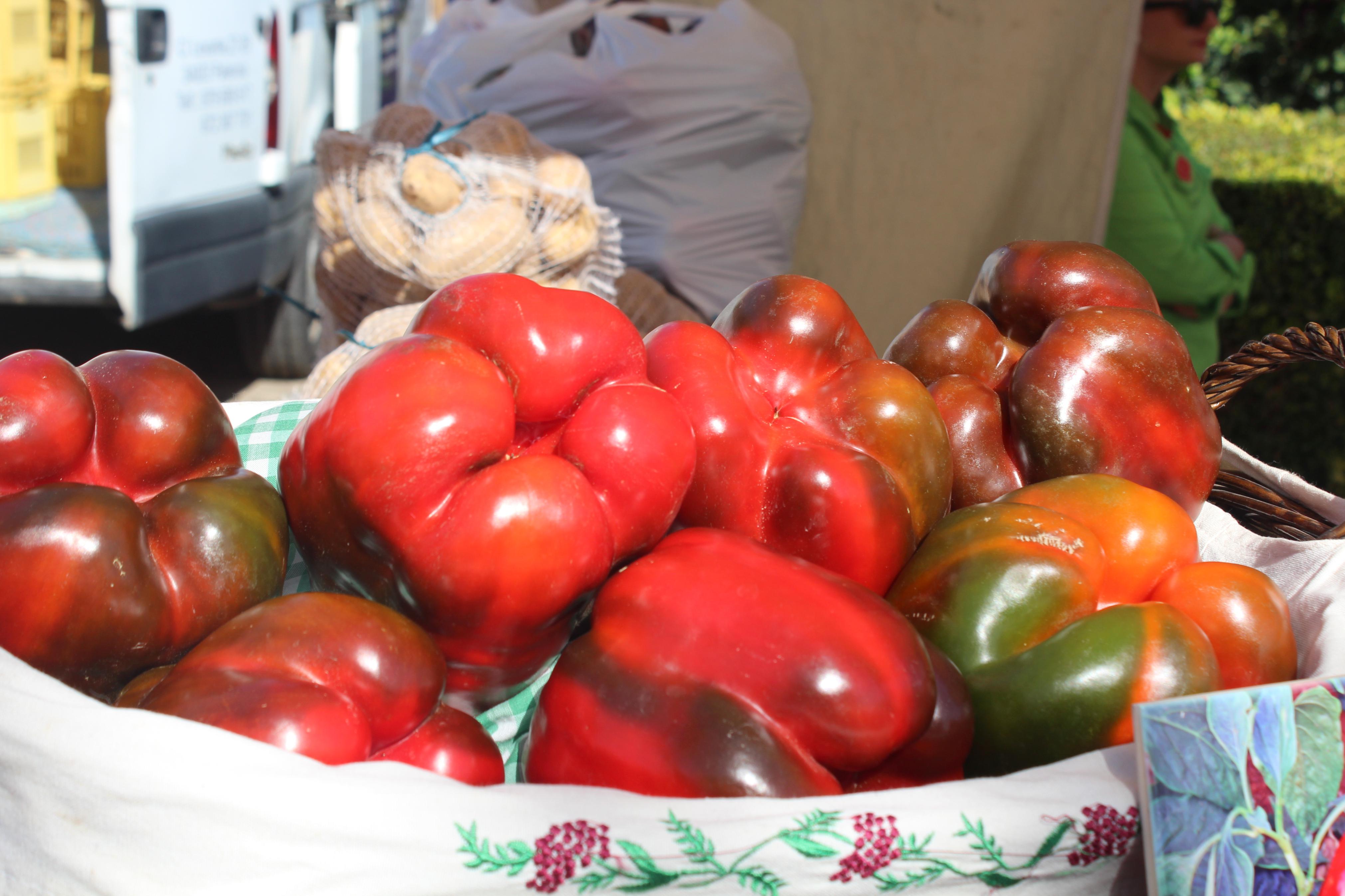 XXXI Feria del Pimiento de Torquemada