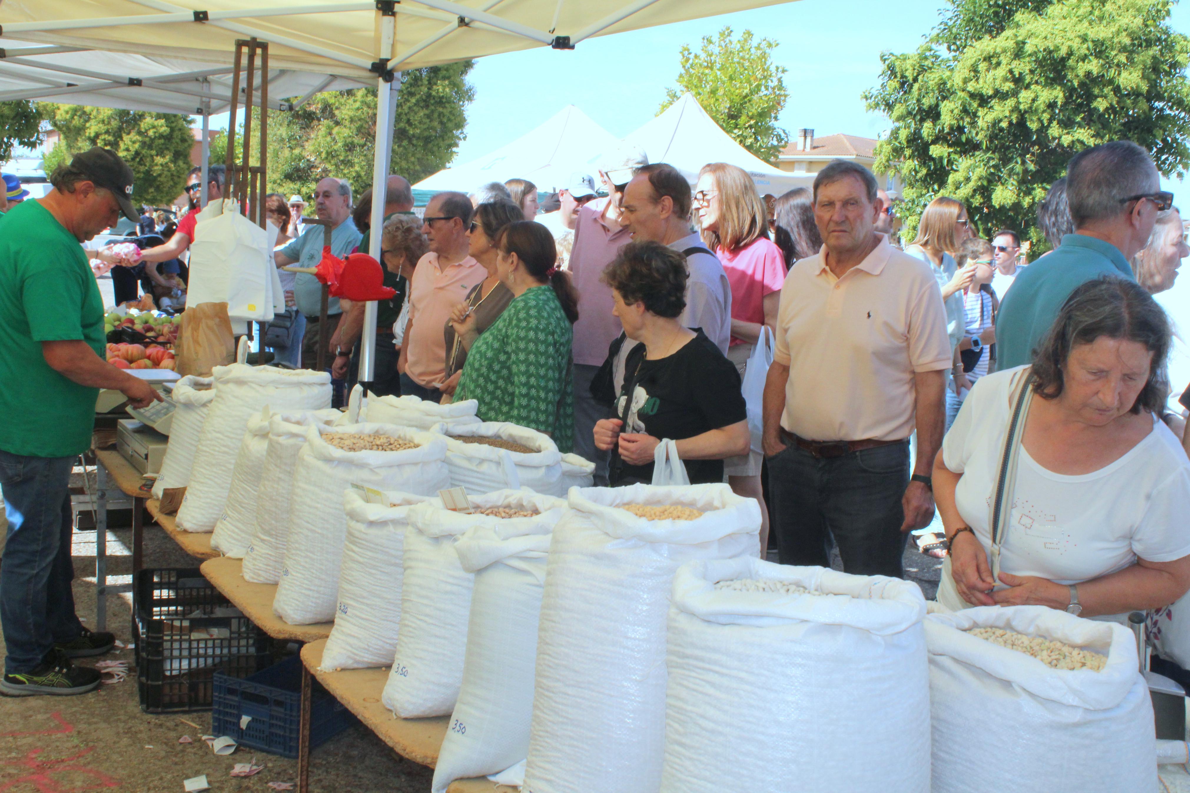 XXXI Feria del Pimiento de Torquemada