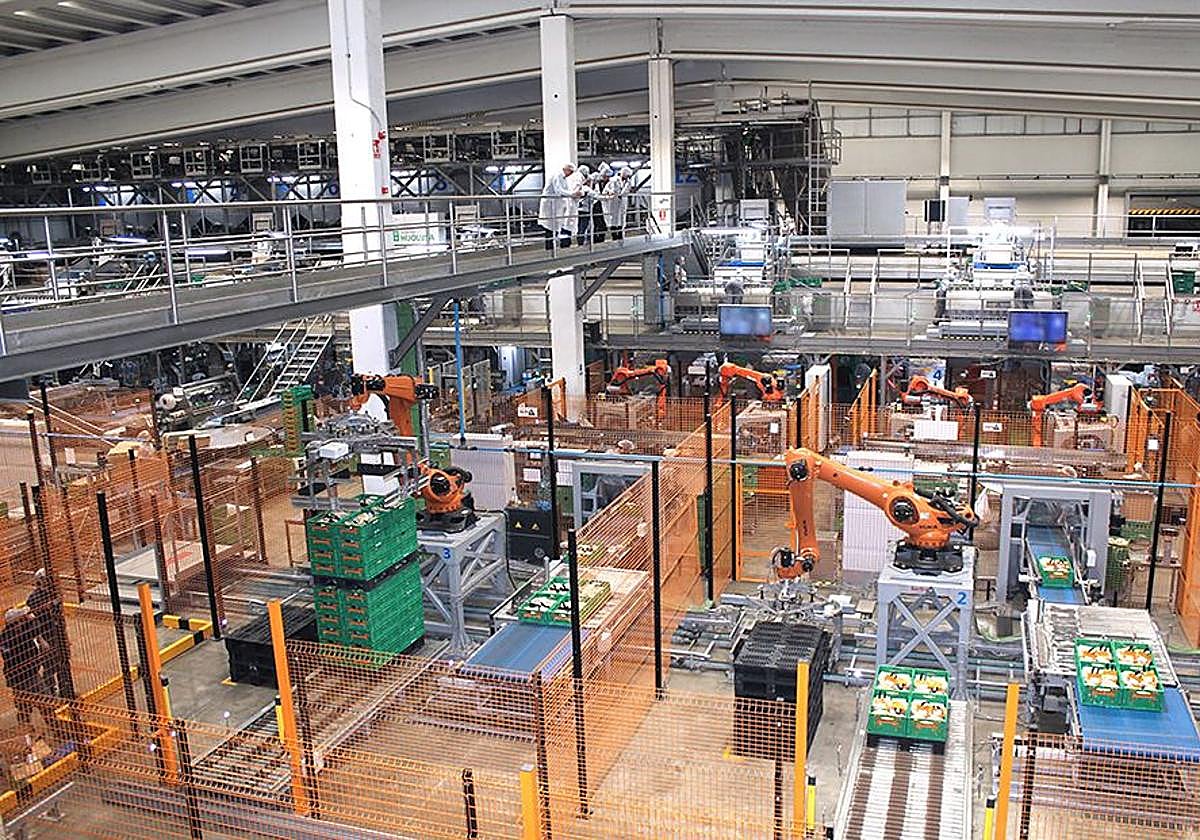 Instalaciones de Hijolusa en el Polígono de León.