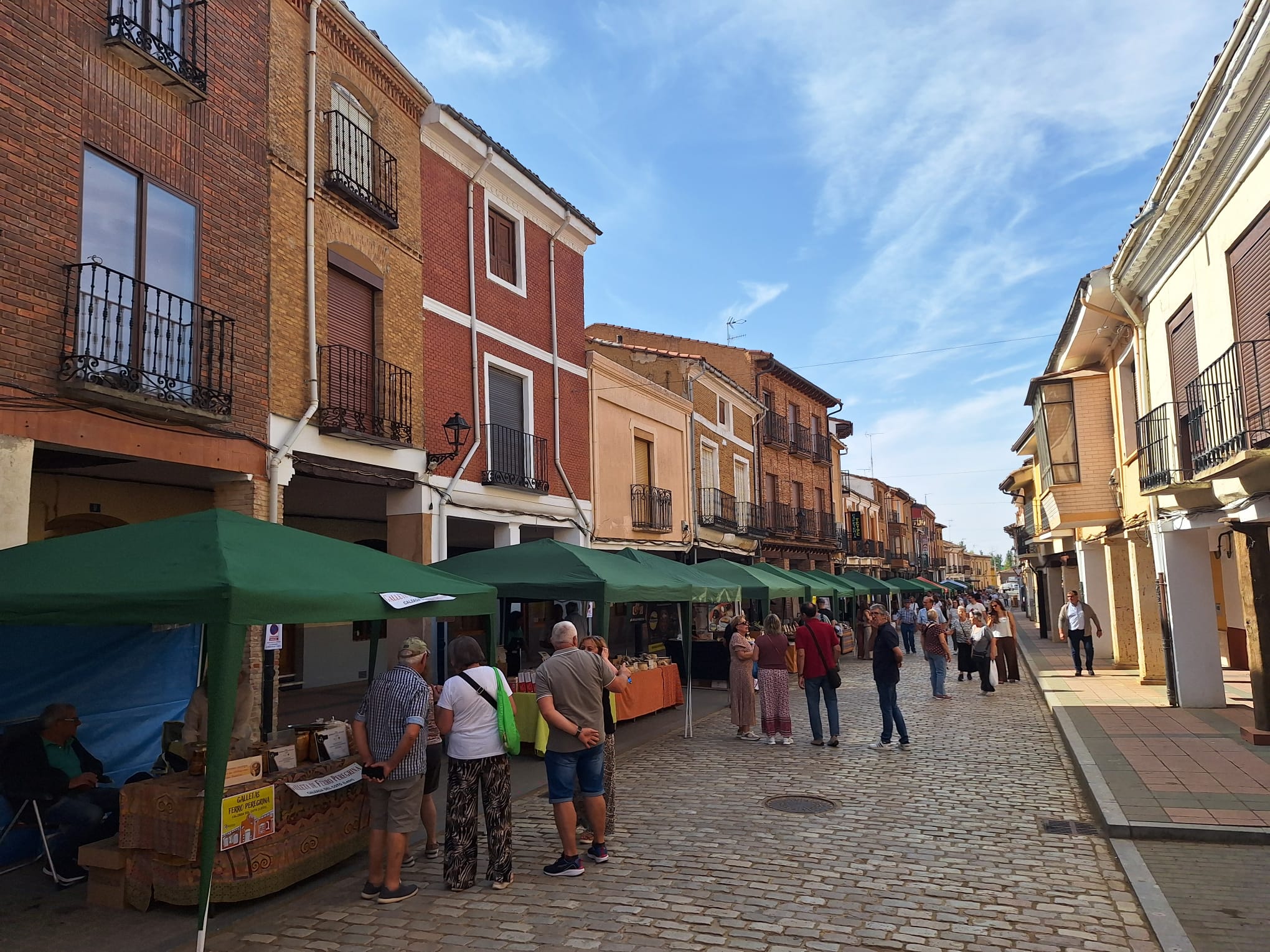 Villalón de Campos se convierte en la capital nacional del queso