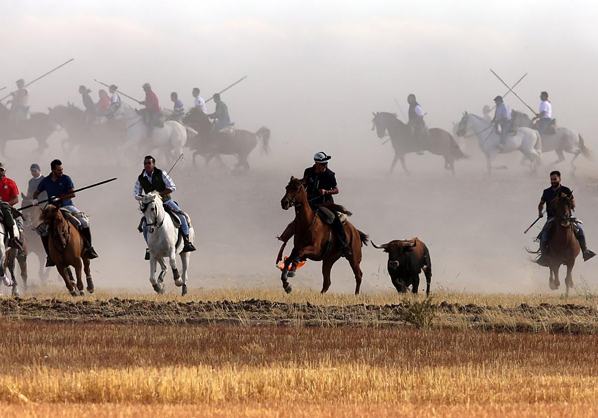 Las imágenes del encierro de Madrigal de las Altas Torres