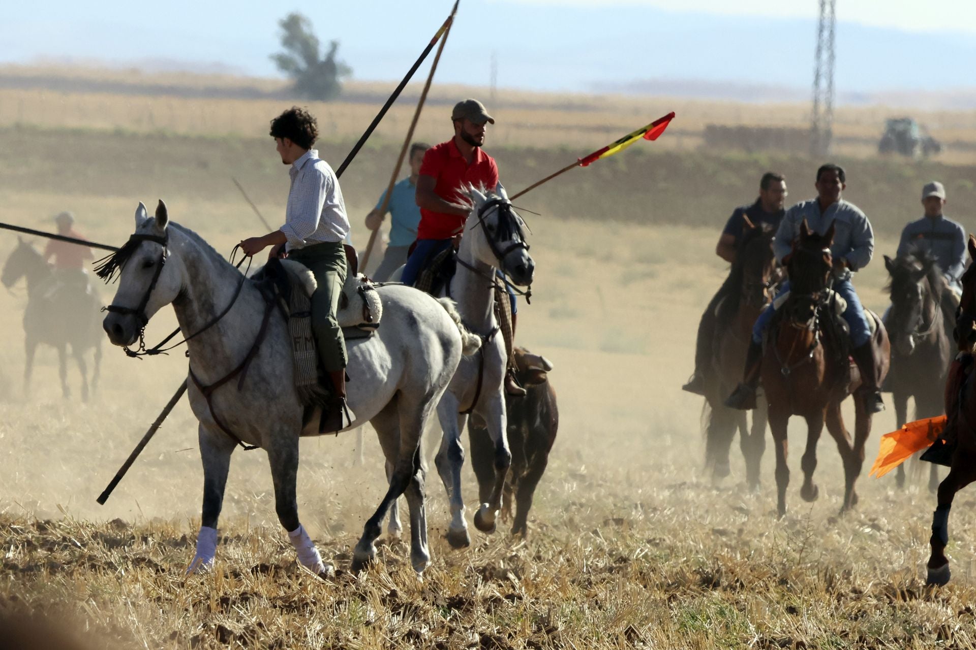 Las imágenes del encierro de Madrigal de las Altas Torres
