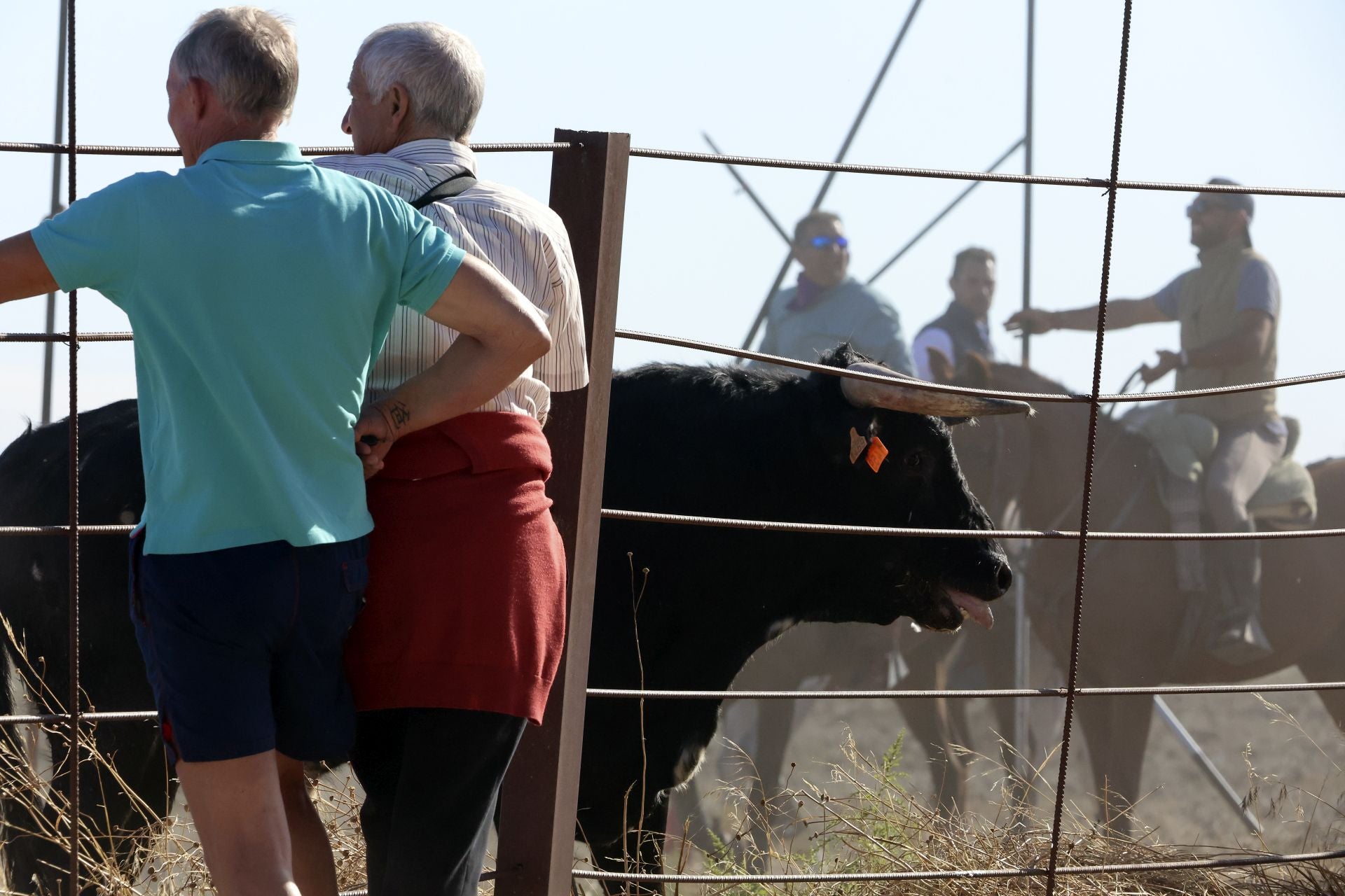 Las imágenes del encierro de Madrigal de las Altas Torres