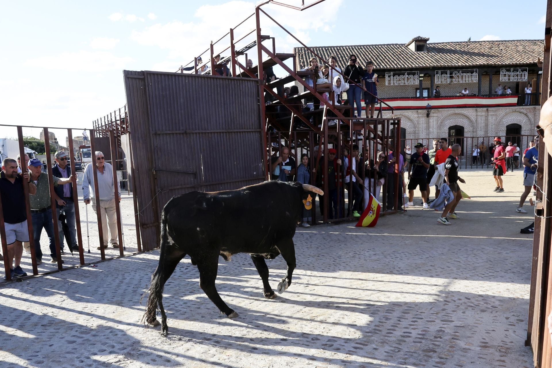 Las imágenes del encierro de Madrigal de las Altas Torres