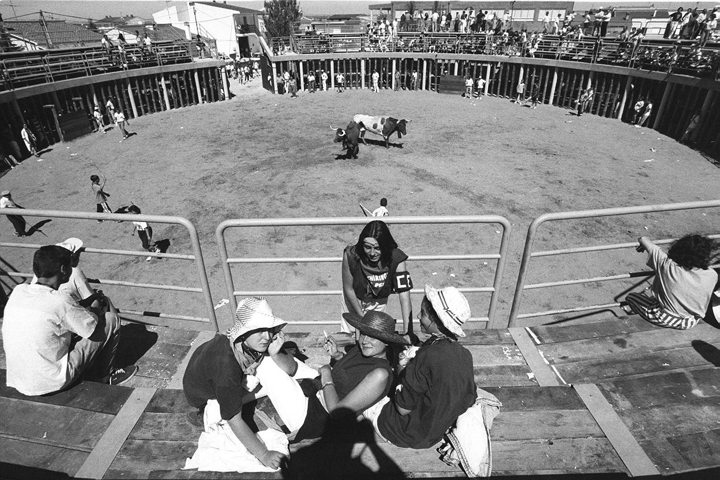 Los astados llegan a la Plaza de Toros en las fiestas de 1997.