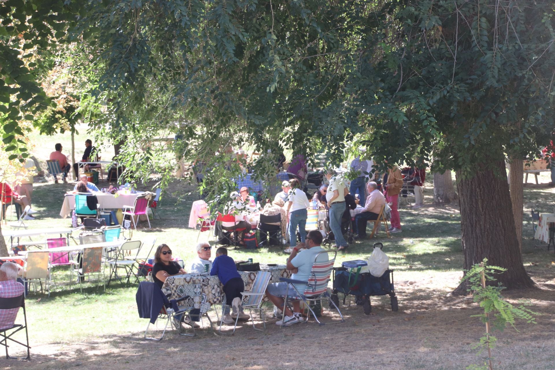 Fotos de la romería del Henar