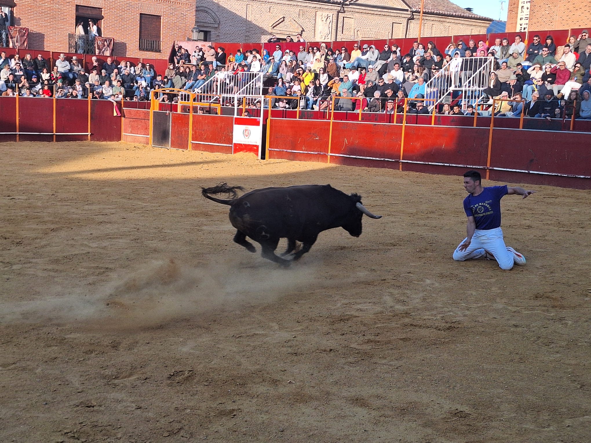 Los saltos de Christian Peñas ganan el concurso de cortes de Mayorga