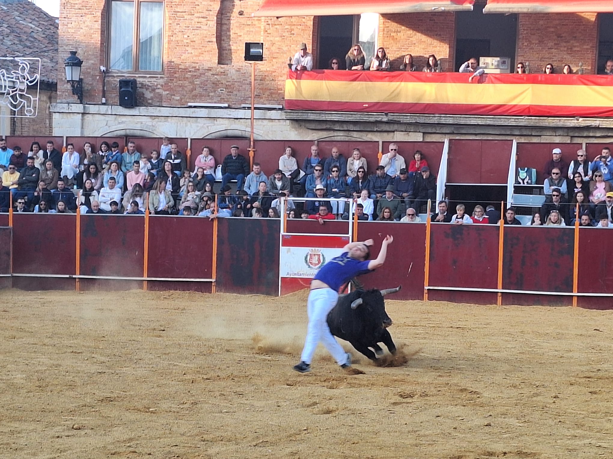 Los saltos de Christian Peñas ganan el concurso de cortes de Mayorga