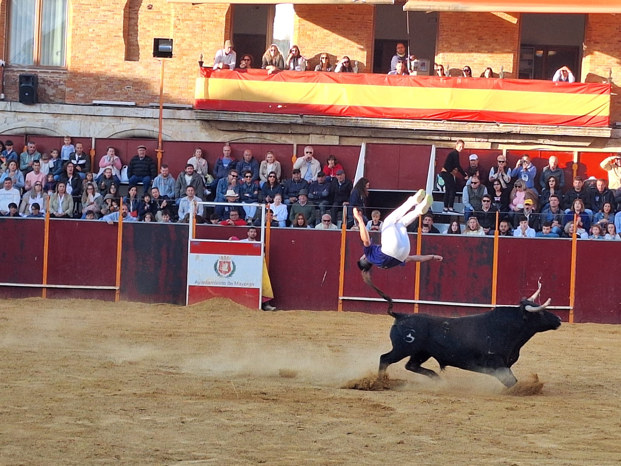 Los saltos de Christian Peñas ganan el concurso de cortes de Mayorga