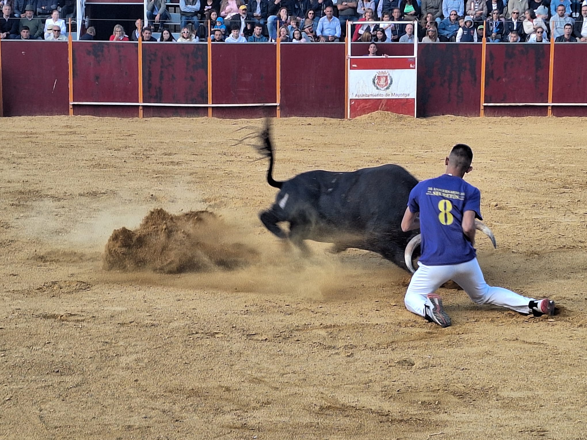 Los saltos de Christian Peñas ganan el concurso de cortes de Mayorga