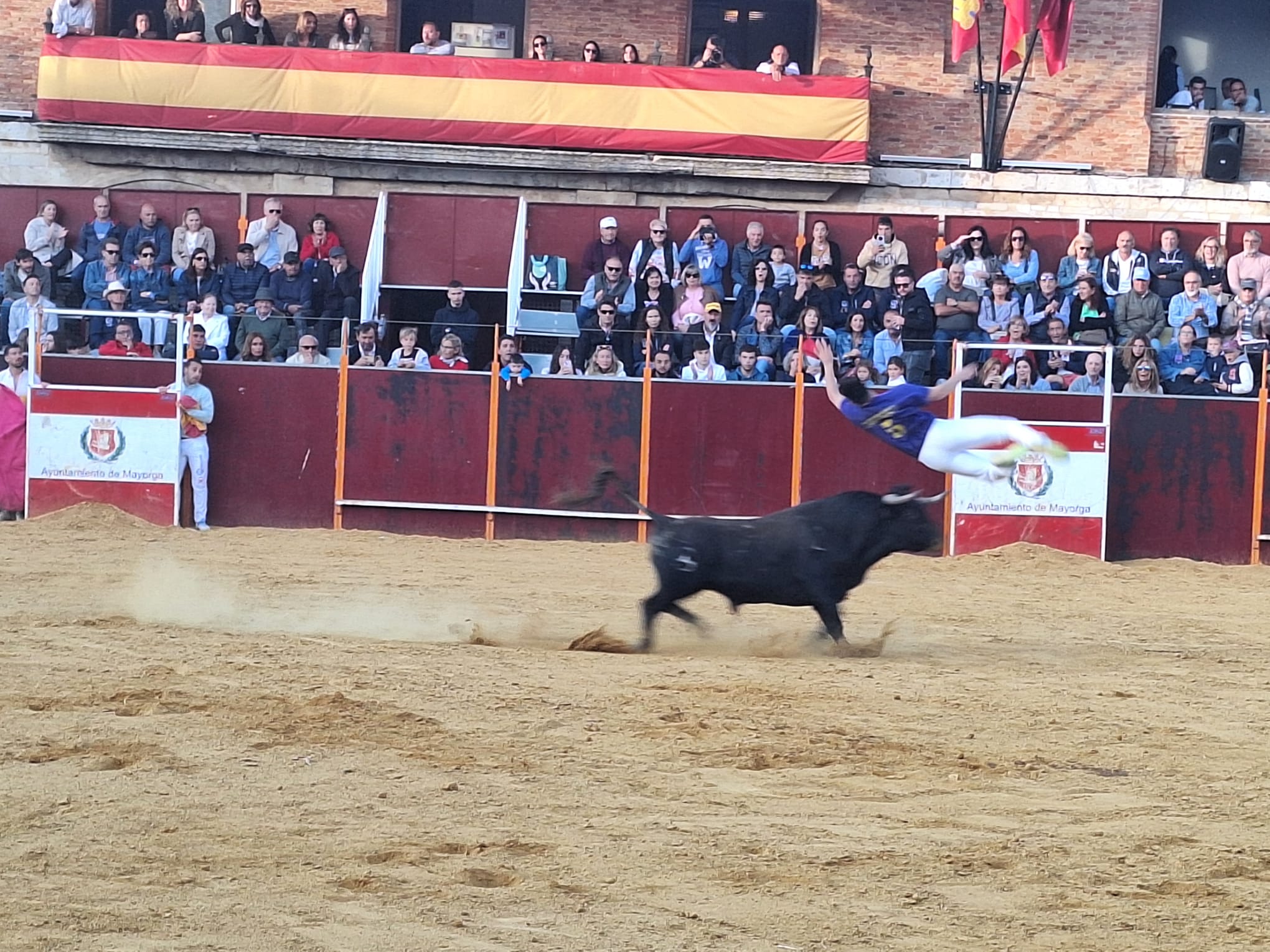 Los saltos de Christian Peñas ganan el concurso de cortes de Mayorga