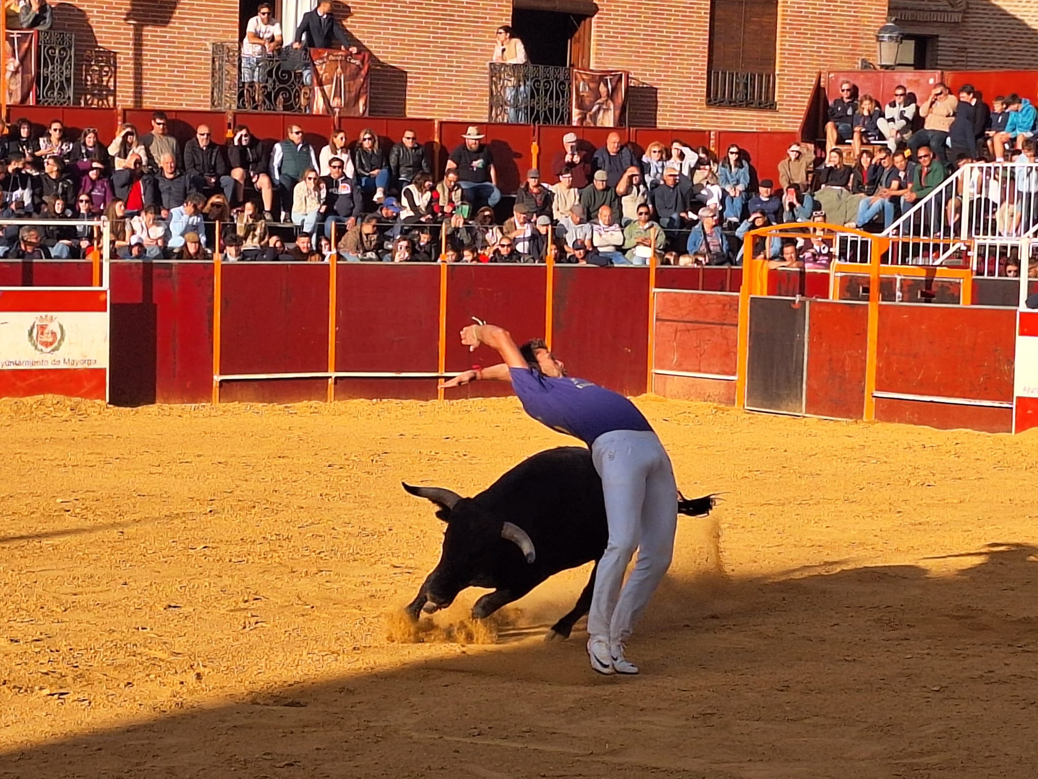 Los saltos de Christian Peñas ganan el concurso de cortes de Mayorga