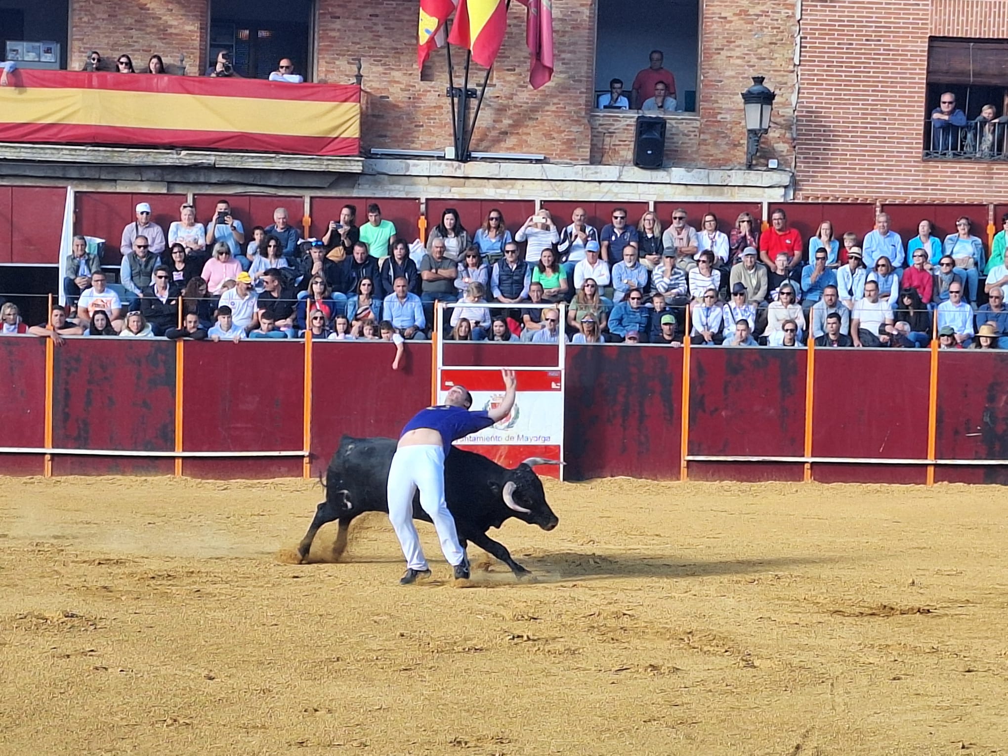 Los saltos de Christian Peñas ganan el concurso de cortes de Mayorga