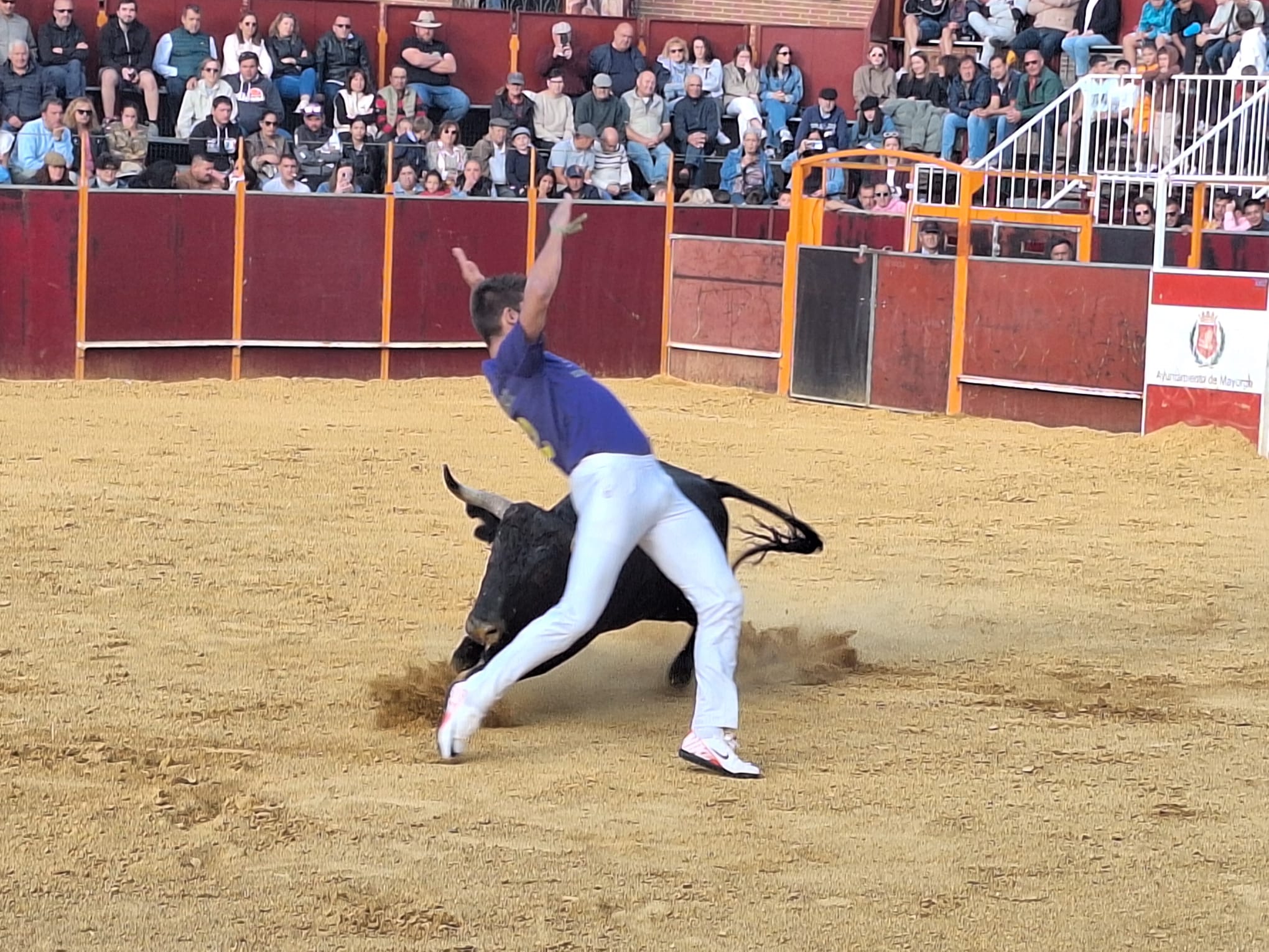 Los saltos de Christian Peñas ganan el concurso de cortes de Mayorga