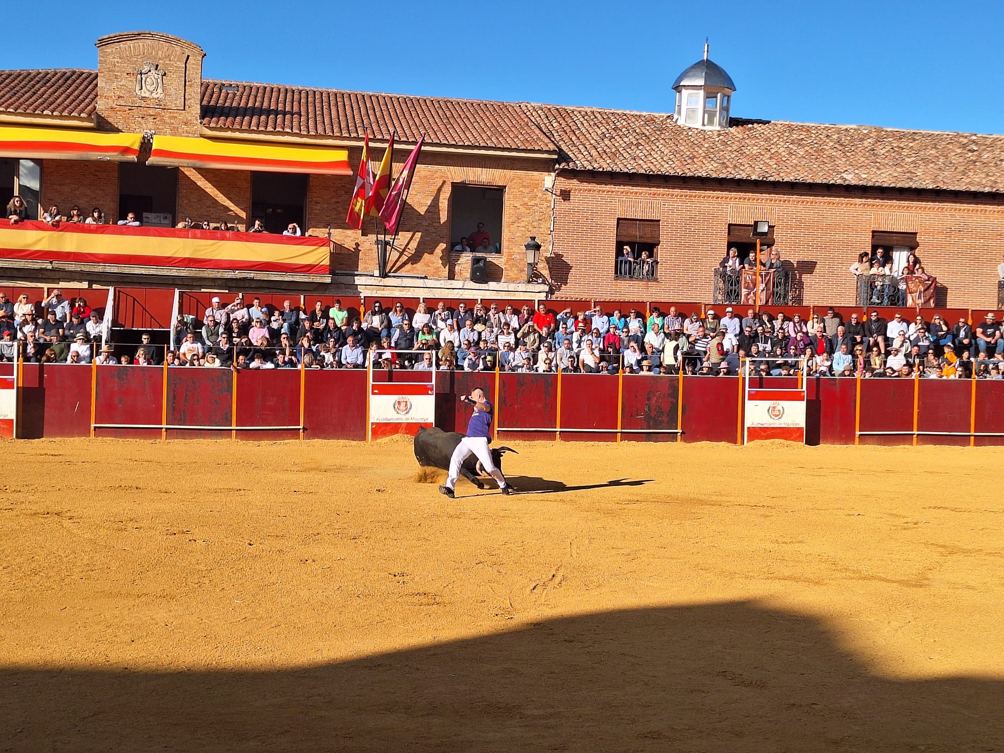 Los saltos de Christian Peñas ganan el concurso de cortes de Mayorga