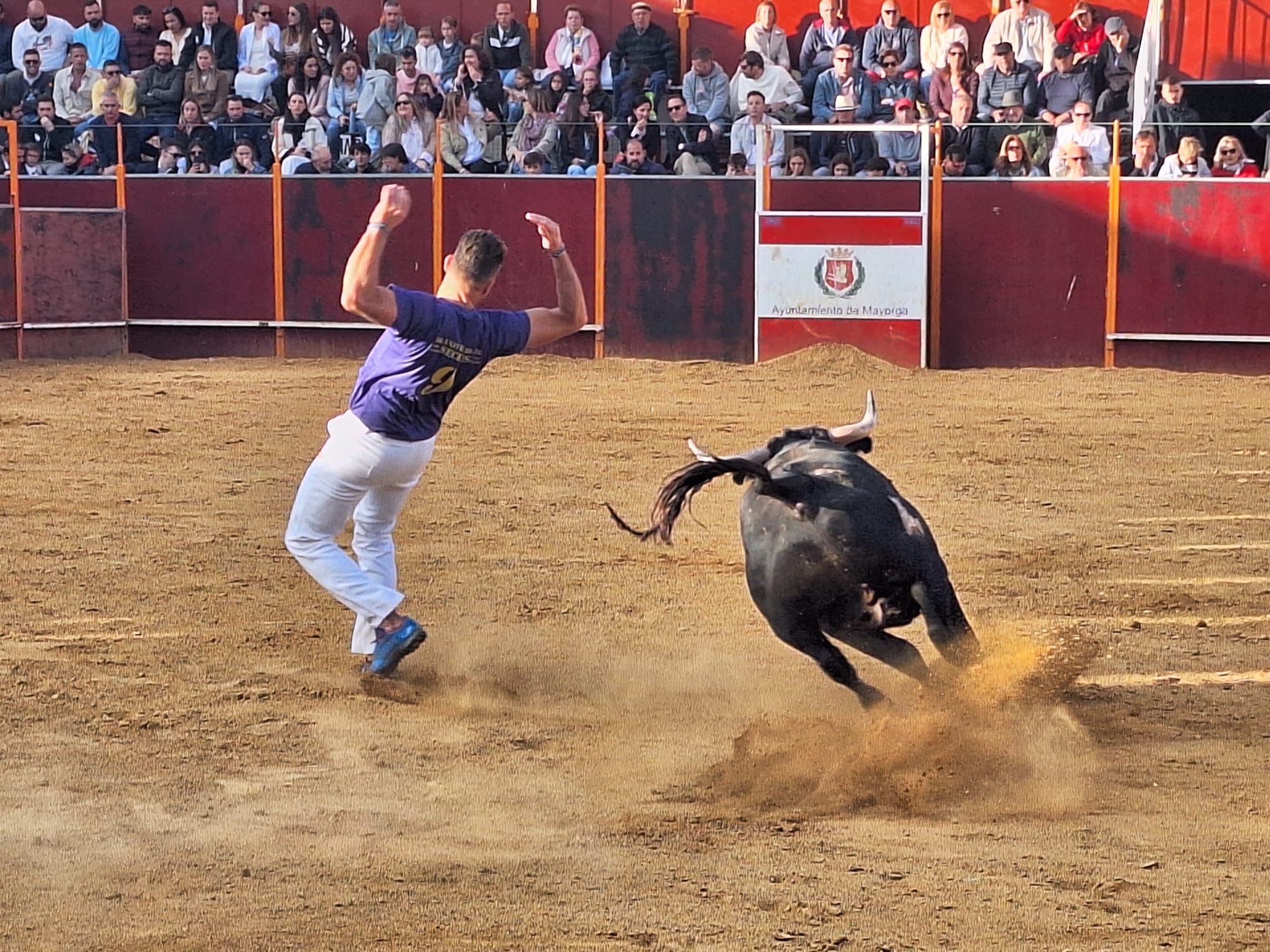 Los saltos de Christian Peñas ganan el concurso de cortes de Mayorga