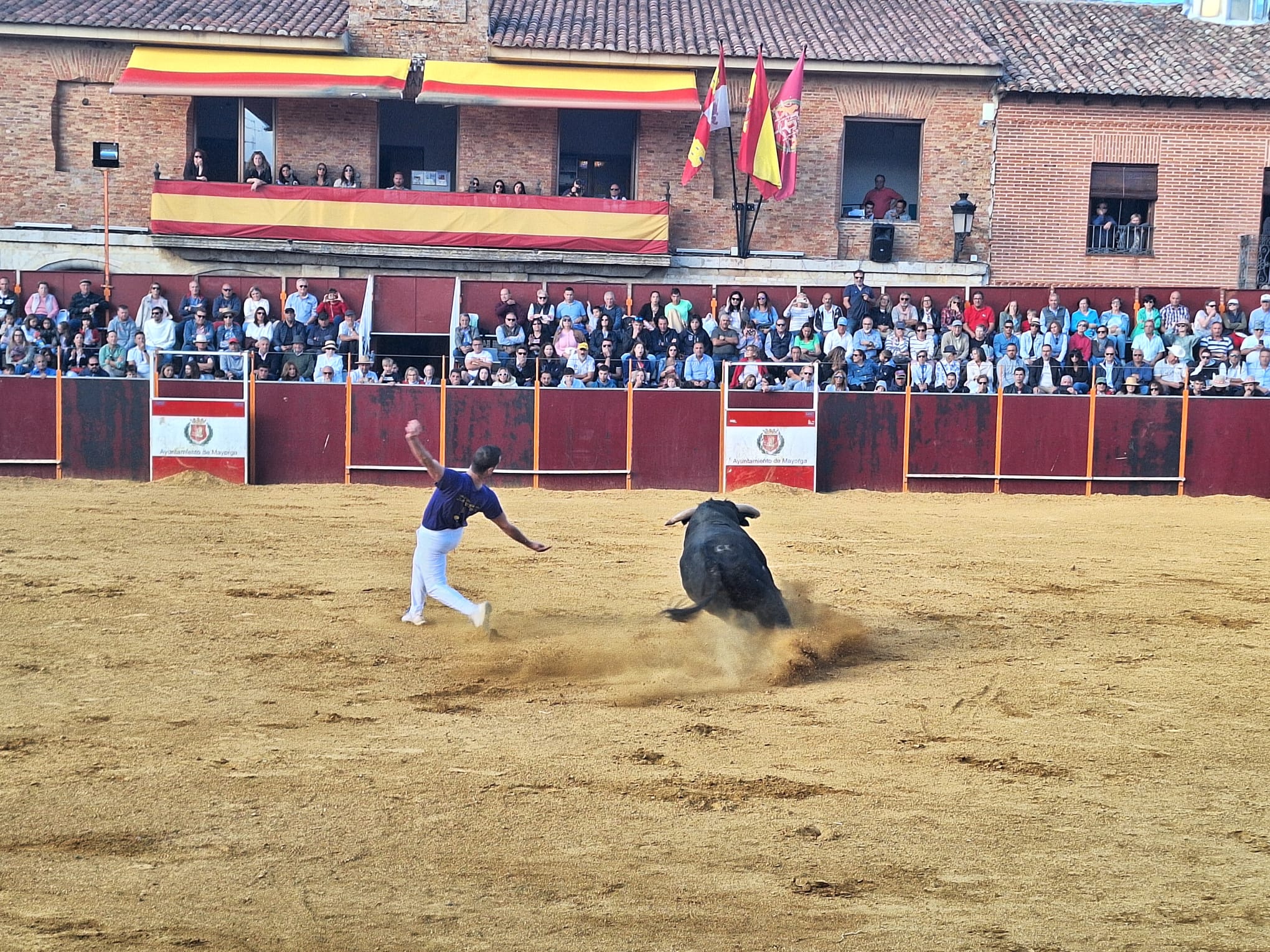 Los saltos de Christian Peñas ganan el concurso de cortes de Mayorga
