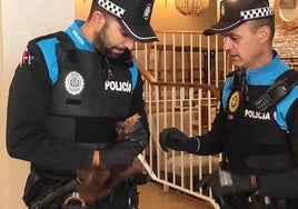 Uno de los agentes locales sujeta a la ardilla captura en la cafetería de Recoletos.