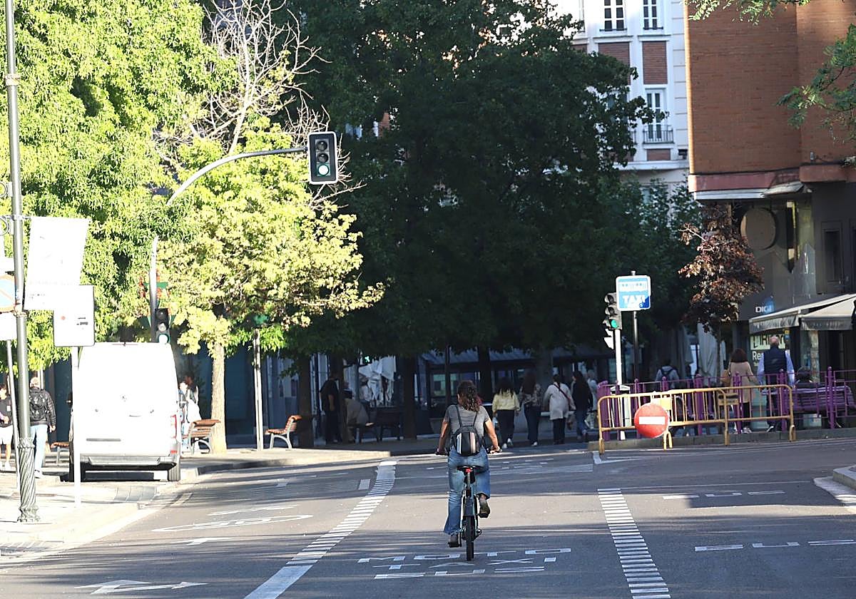 Las imágenes del Día sin Coche en Valladolid