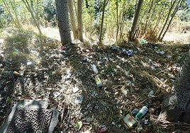 Basura acumulada junto a la ribera del Pisuerga
