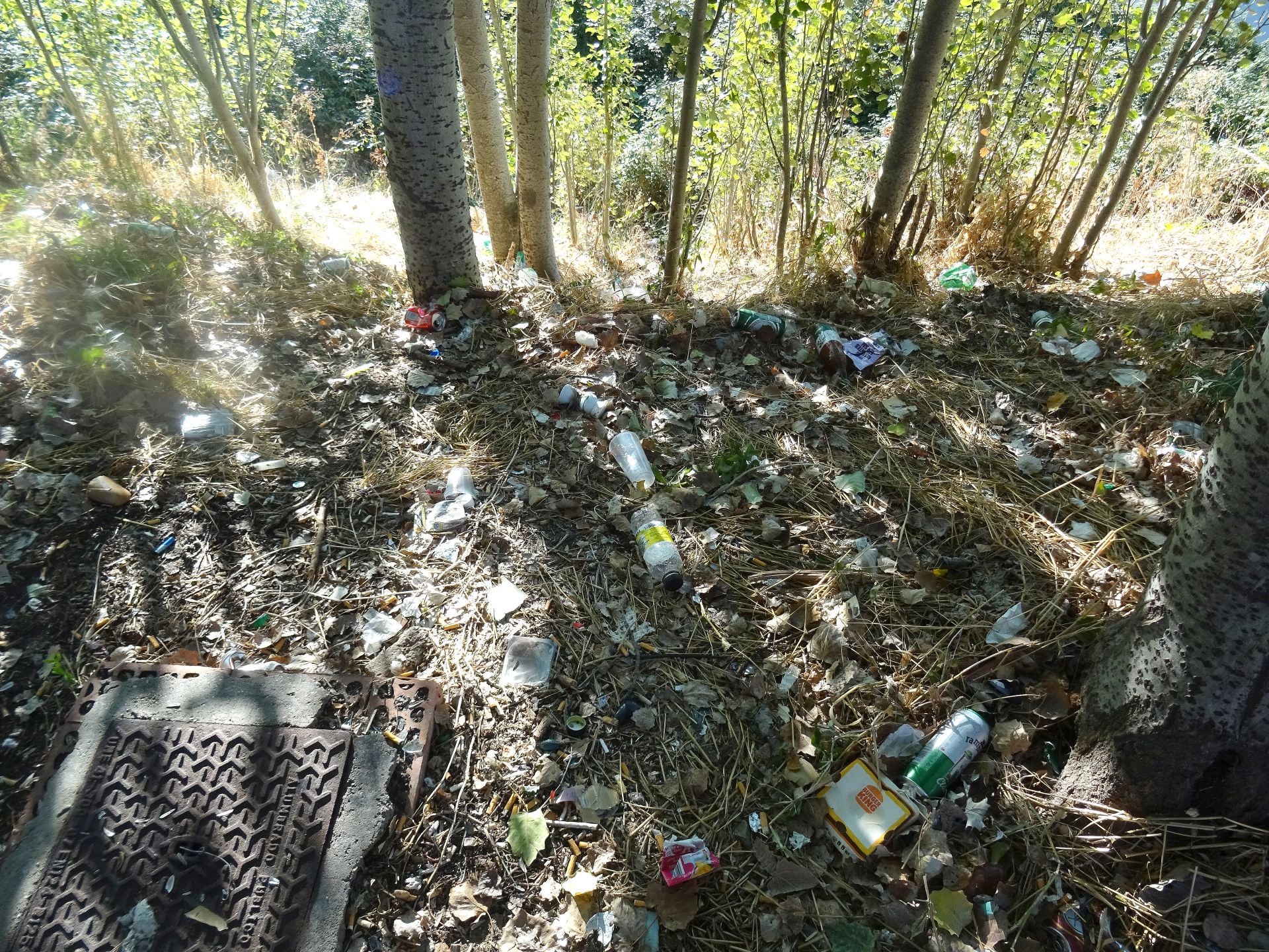 Las imágenes de la basura del Pisuerga