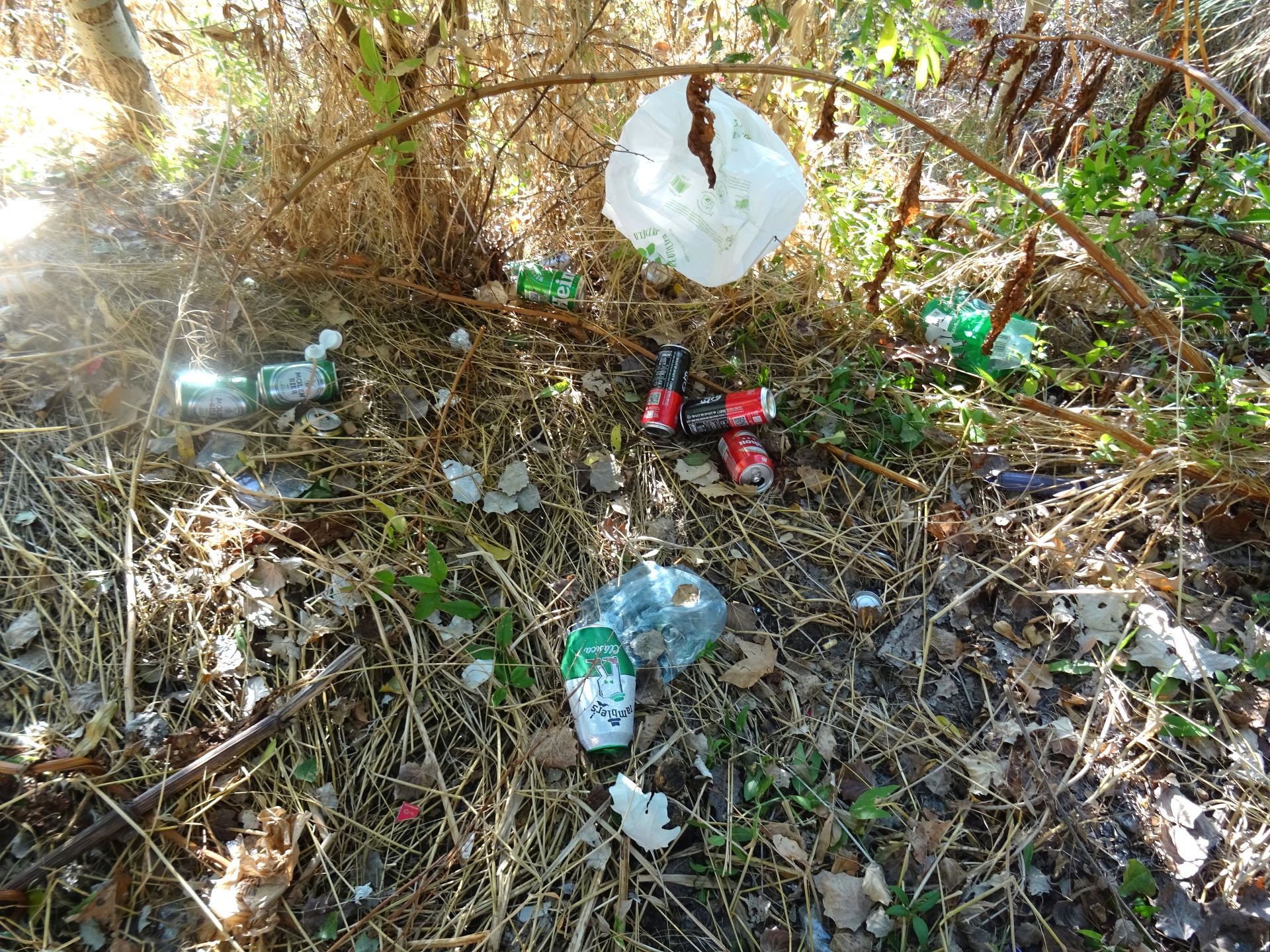 Las imágenes de la basura del Pisuerga